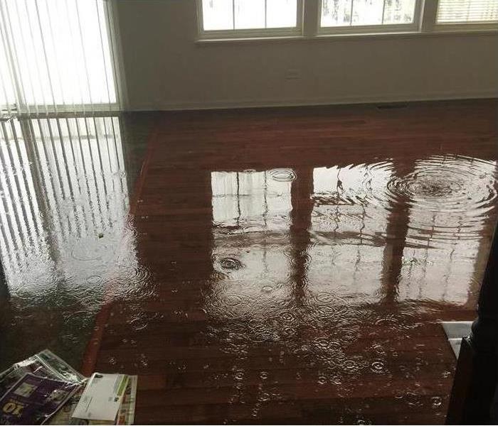 Floodwater on hardwood floors