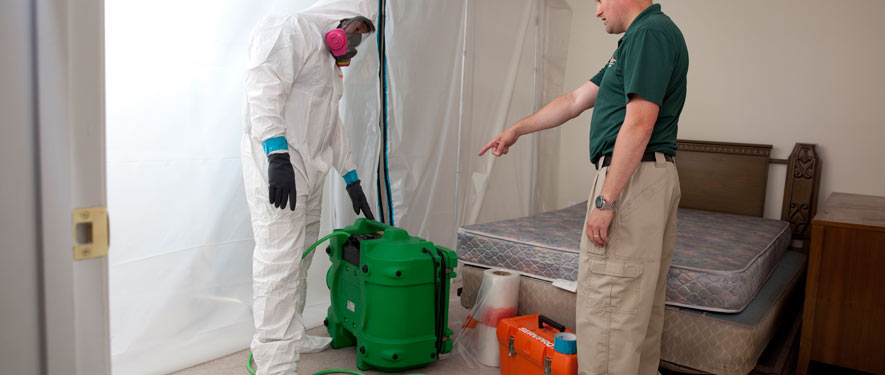St. Charles, IL mold removal process